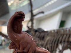 -天津自然博物馆