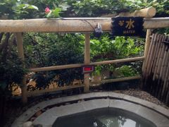 -天赐温泉