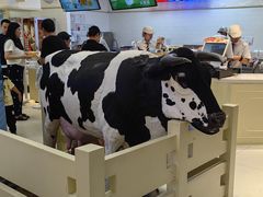 -红星前进面包牛奶公司(君太店)