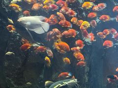 -杭州开元森泊度假乐园