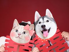 -bobo高端证件照工作室(三元桥店)