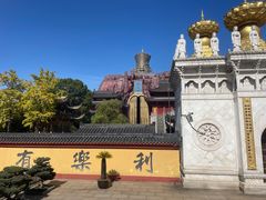 -上海东林寺(金山区)