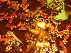 -味之绝热血美蛙鱼火锅(中坝店)