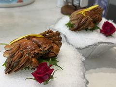 -火福·天湖阁大闸蟹博物馆主题餐厅(浅水湾店)