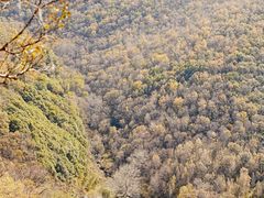 -灵山