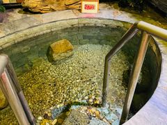 -泉城欧乐堡戏水湾艺术养生温泉