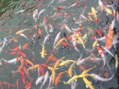 -南通洲际绿博园