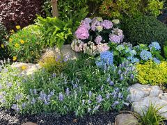 -水绘园