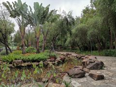 -深圳龙潭公园