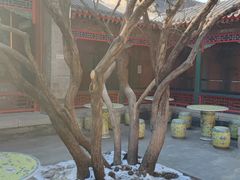 -宫事颐庭·老佛爷贵寿下午茶(颐和园店)