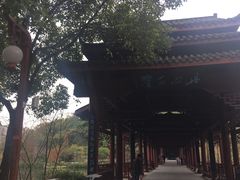 -重庆彩云湖湿地公园