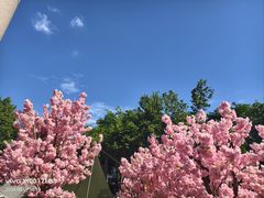 -西北轻工批发市场