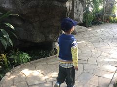 -北京植物园-展览温室