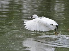-新江湾城公园