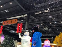 -宁波冰雪大世界(北仑区)