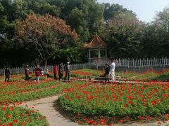 -晓港公园