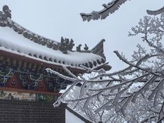 -终南山国家森林公园