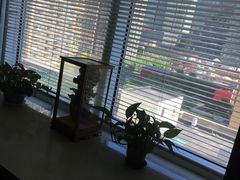 -圣典成人钢琴俱乐部(国贸旗舰校区)