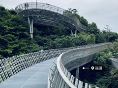 -福道