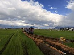 -中国茶叶博物馆(双峰馆区)