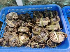 -品鲜村农家菜·阳澄湖大闸蟹(总店)