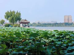 -济南大明湖景区