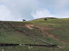 -灵山
