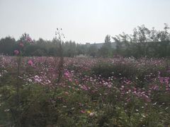 -西安石油大学(雁塔校区)