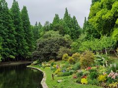 -上海共青森林公园