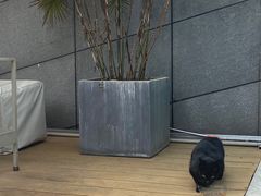 -UNIUNI(凯瑟琳广场店)