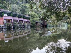 -野象谷景区