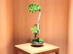 -文三酒肆自助放题(新街口友谊广场店)