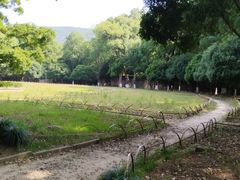 -灵谷景区