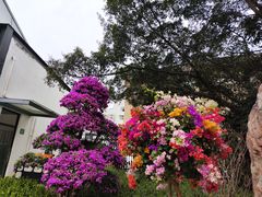 -广州市白云山风景名胜区