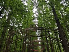 -东平国家森林公园