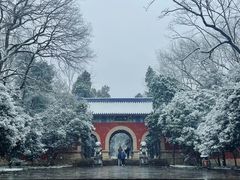 -灵谷景区