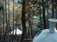 -广州市帽峰山景区