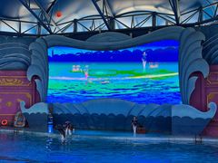 -横店影视城梦幻谷园区