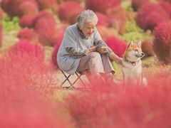 -乐宠动物医院