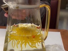 -遇东北林区铁锅炖(南开店)