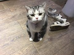 -小时光咖啡馆(开森度假森林店)