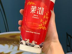 芒芒绿-茉沏(光启城店)