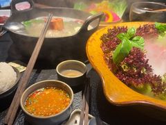 -大龙燚·旷野鲜火锅(广州首店)