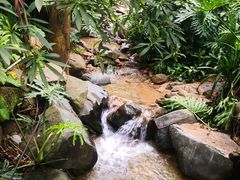 -火炉山森林公园
