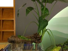 -汤泉良子(金源店)