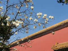 -北京市劳动人民文化宫(太庙)