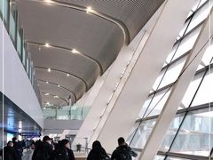 -合肥新桥国际机场-航站楼