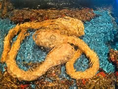 -百富源·海鲜辽菜(和平北大街店)