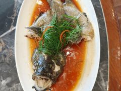 -天顺渔港·海景餐厅(星海广场店)