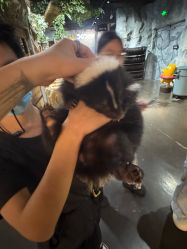 -Zoolung Zoolung动物主题公园(海信广场店)